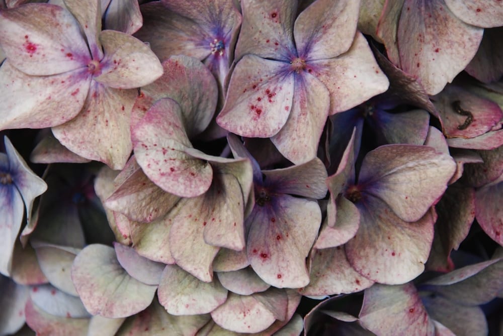 Notre vie comme oeuvre d'art - Mademoiselle M